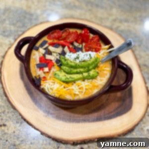 Cheesy Chicken Enchilada Soup