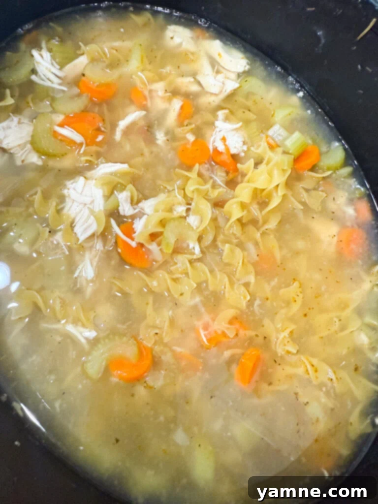Shredded chicken and egg noodles being stirred into soup