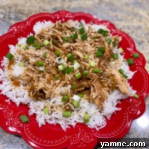 Slow Cooker Teriyaki Chicken