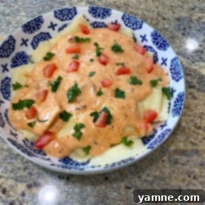 Signature Ravioli Sauces 2 Delicious Creamy Sun-Dried Tomato Ravioli Sauce in a bowl