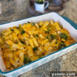 Velvety Chicken and Broccoli Bake 2 A delicious creamy chicken and broccoli pasta bake with melted cheddar cheese on top, ready to serve.
