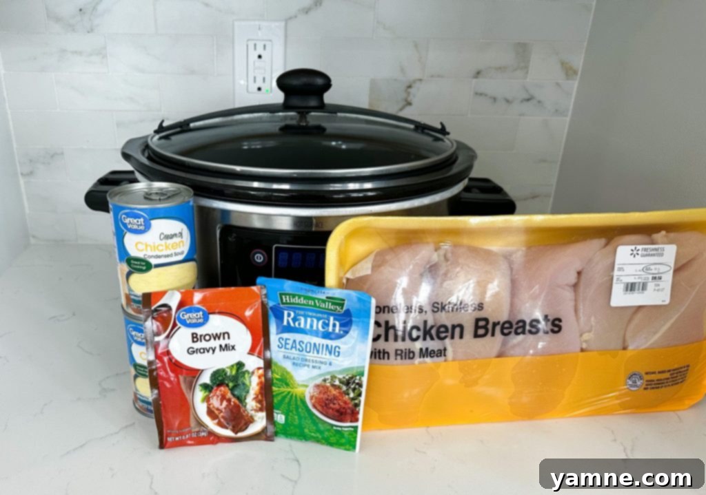 slow cooker chicken and gravy, a creamy comfort food dish