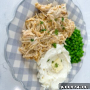 slow cooker chicken and gravy