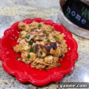 A vibrant dish of Hawaiian Chicken and Coconut Rice, featuring golden-brown chicken, juicy pineapple chunks, and fluffy white rice.