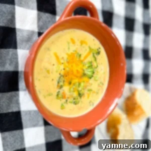 Creamy Broccoli Cheese Soup: A Simple One-Pot Recipe 2 Broccoli Cheese Soup
