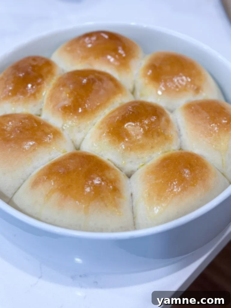 easy homemade one-hour dinner rolls