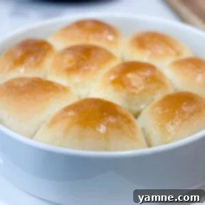 easy homemade one-hour dinner rolls