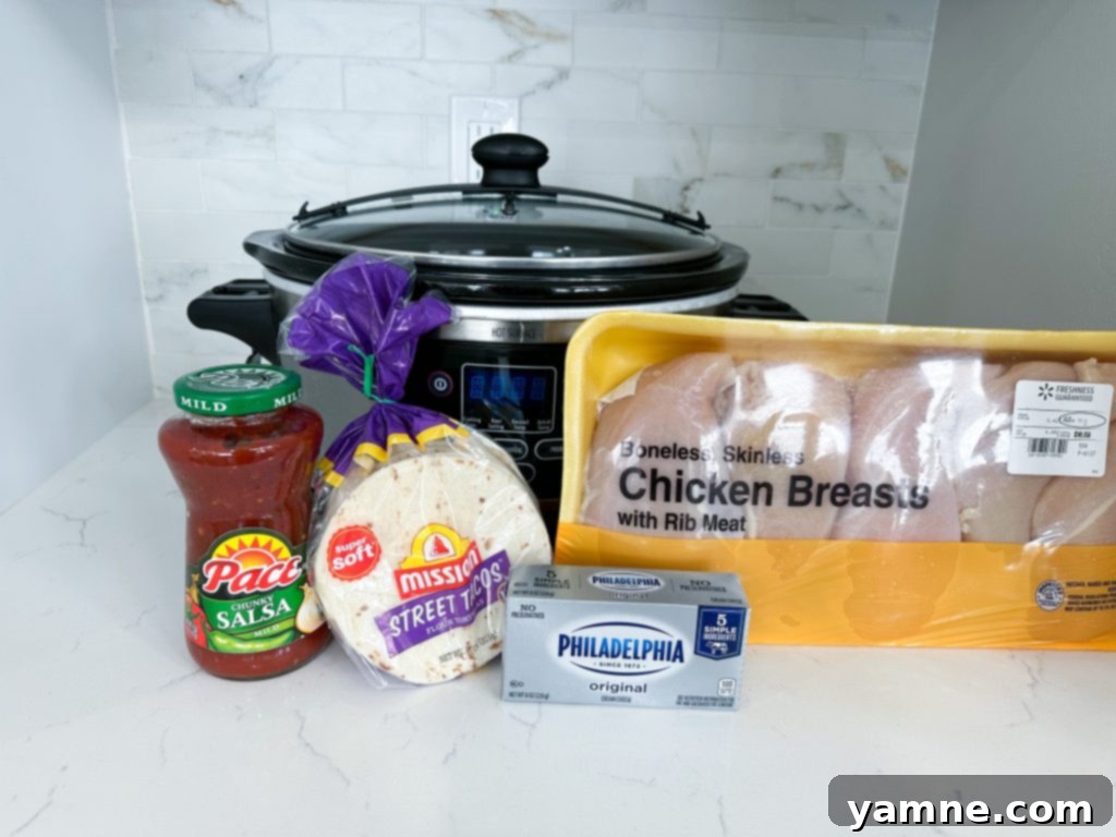 Creamy Chicken Tacos 2 creamy chicken tacos ready to be served