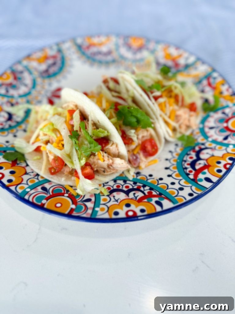 Creamy Chicken Tacos 3 creamy chicken tacos with fresh toppings