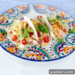 Creamy Chicken Tacos 4 creamy chicken tacos