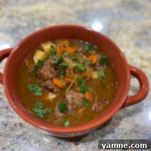 Hearty Beef Stew 3 Beef Stew