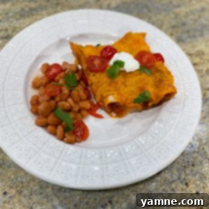 A bowl of freshly cooked cheesy beef enchiladas with green onions.