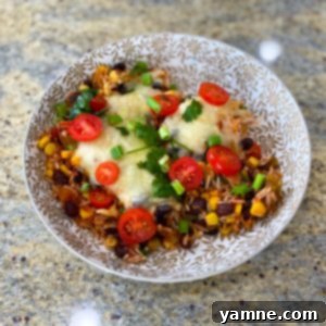 Loaded Enchilada Casserole
