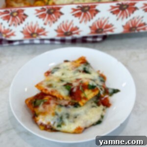 Cheesy Ravioli Casserole 9 Baked cheese ravioli casserole topped with herbs and melted cheese