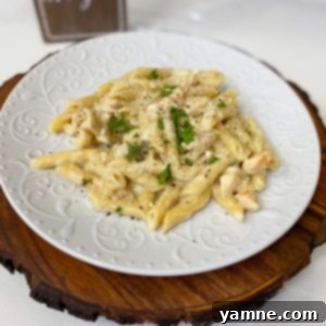 Guilt-Free Chicken Alfredo 2 A delicious and creamy bowl of Healthy Chicken Alfredo pasta with fresh parsley garnish