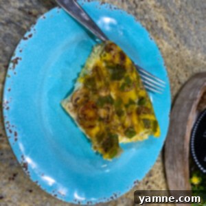 Five Dollar Egg and Veggie Bake Dinner 2 Colorful Egg and Veggie Bake, perfect for a healthy meal