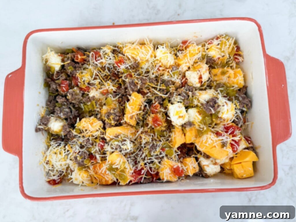 queso ingredients mixed together