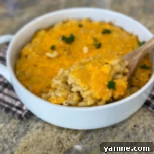 Homemade Mac and Cheese 2 A delicious bowl of homemade macaroni and cheese, freshly baked with a golden cheese topping.