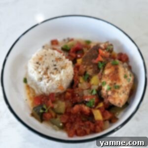 A close-up shot of the Slow Cooker High-Protein Chicken & Veggies, beautifully plated.
