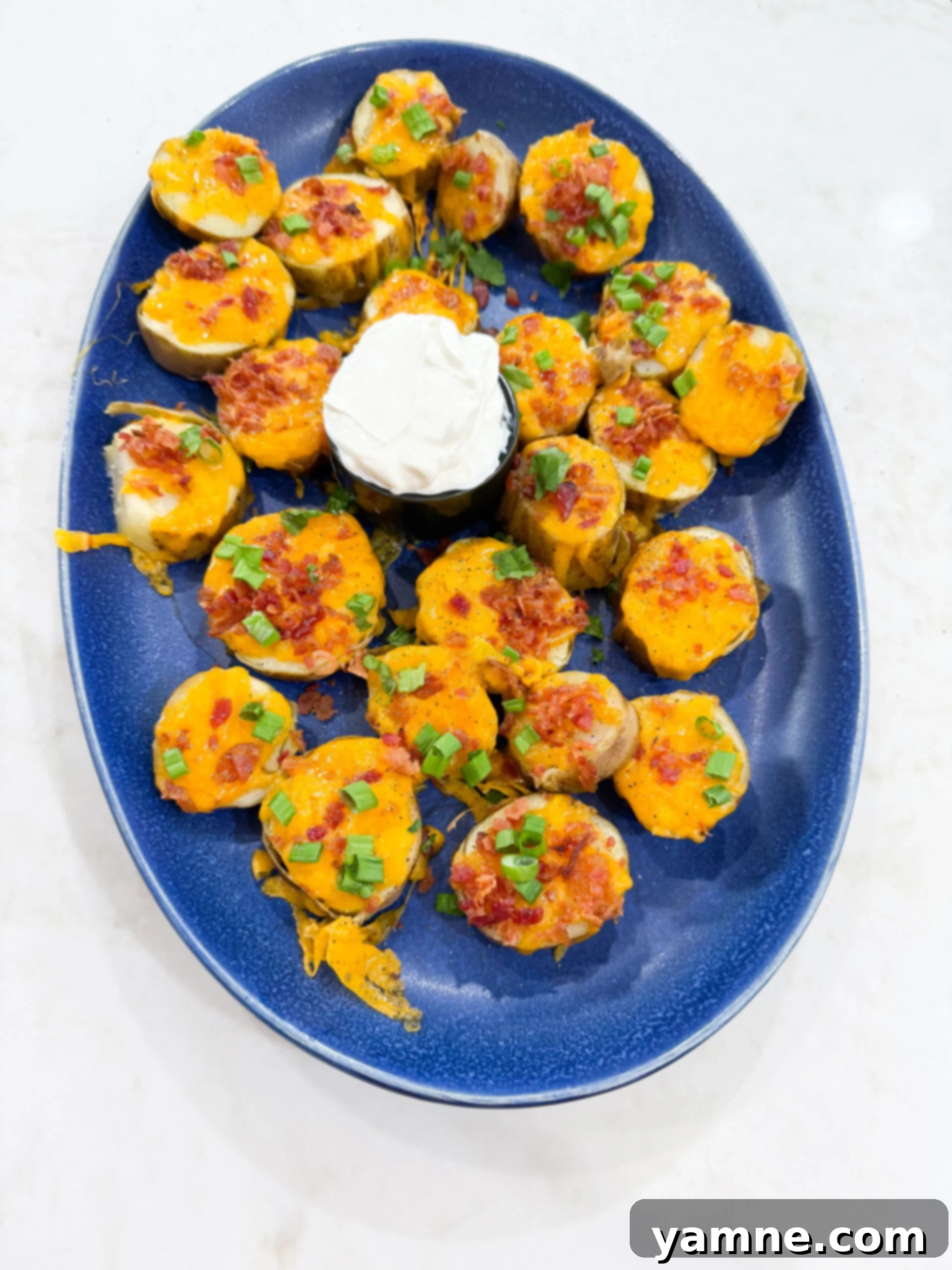 Loaded potato rounds served on a plate